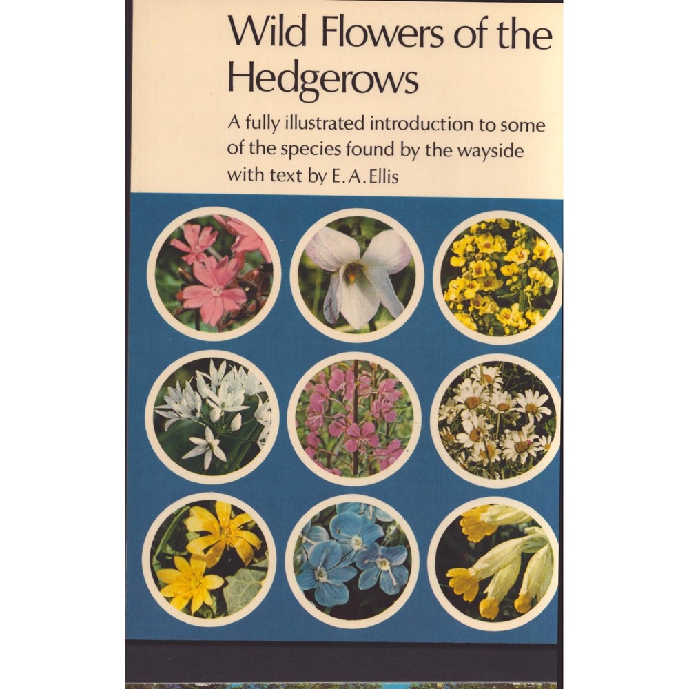 Wild Flowers of the Hedgerows Jarrold Nature Series Book 1 E. A. Ellis Guide - Picture 2 of 3